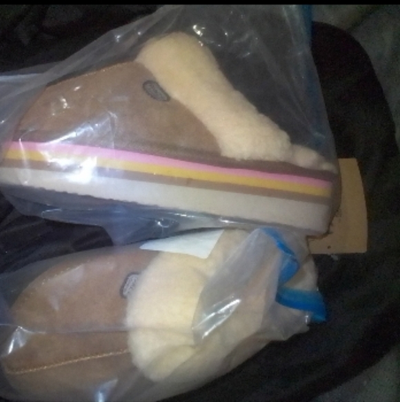 Paws slides - Picture 2 of 3